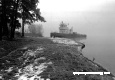Серебряный бор 1974 год