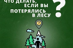 В лес попасть и не пропасть