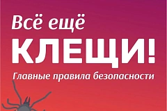 Безопасность  дня! 07.09.2026