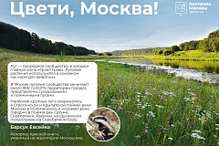 «Цвети, Москва!»: масштабный эколого-просветительский фестиваль