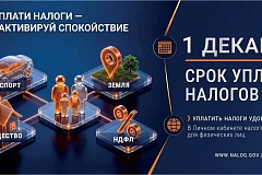 Что делать, если налоговое уведомление не получено?_14.10.2026