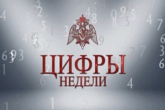 Более тысячи единиц оружия и боеприпасов изъяли из незаконного оборота столичные росгвардейцы за неделю_21.10.2026