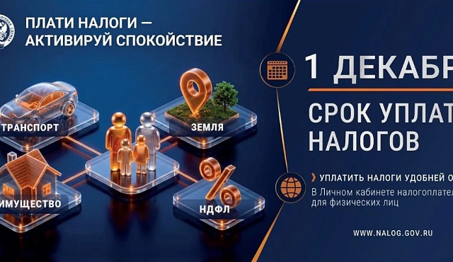 Как получить и оплатить налоговое уведомление через ЕПГУ